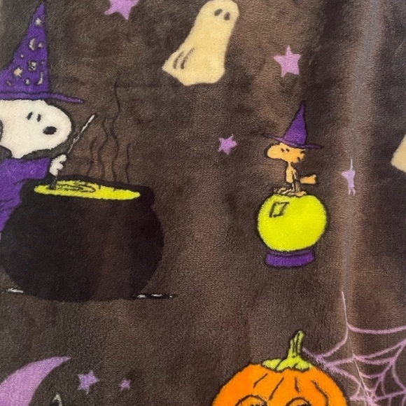 Peanuts Snoopy and Woodstock Halloween plush throw blanket 50x70 - Picture 3 of 4